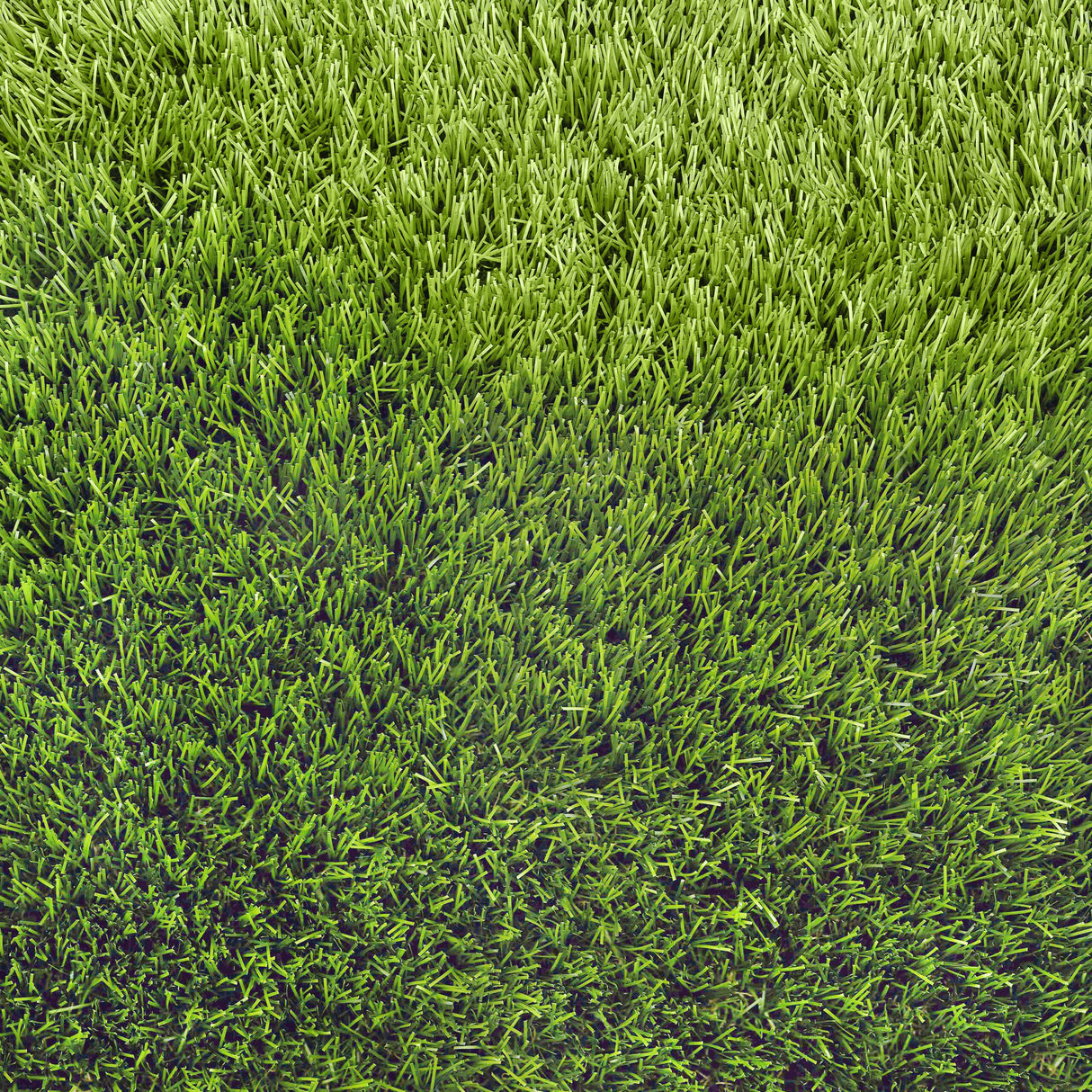 Blossom Artificial Grass 40mm: Soft, luxurious, UV-resistant, and maintenance-free, perfect for year-round use and any garden. Durable 40mm pile for any outdoor space.