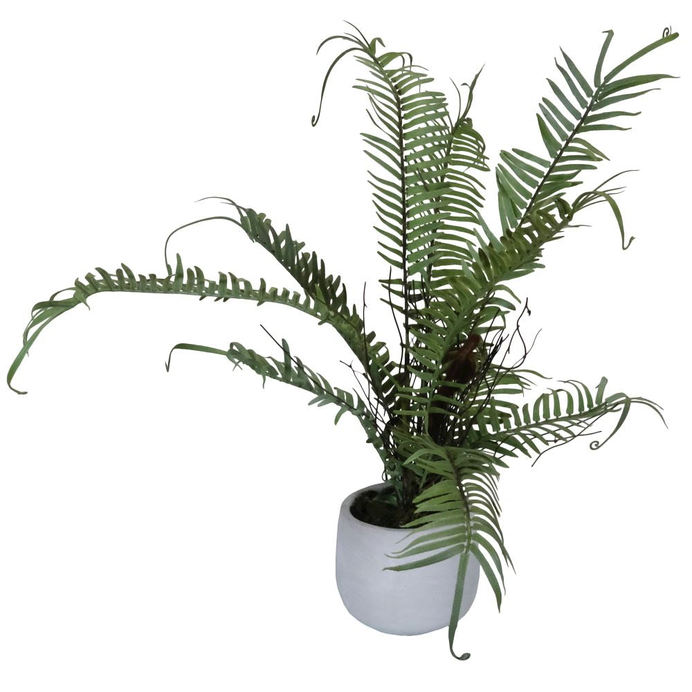 The Boston Large Potted Fern is crafted to mimic the feel and appearance of a real Boston fern and comes potted in a container