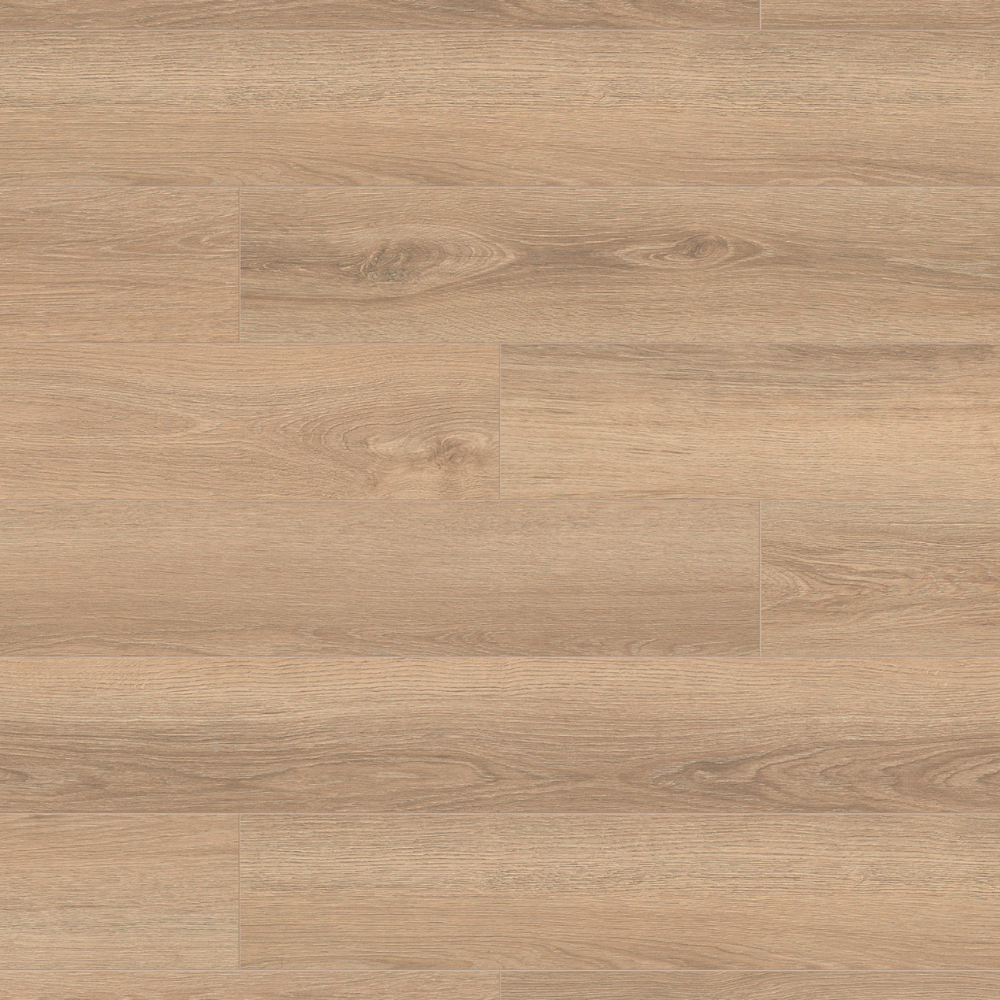 The Cashew Montreux Oak Laminate Flooring - 8mm features light natural tones, AC4 durability, antibacterial protection and easy 1Click 2Go installation