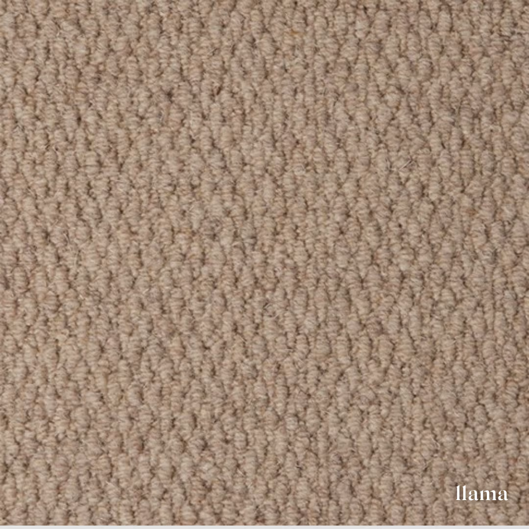 Malabar Two Fold Carpet made from 100% pure new wool, offering durability, natural comfort and a timeless finish for stairs, hallways and living spaces.