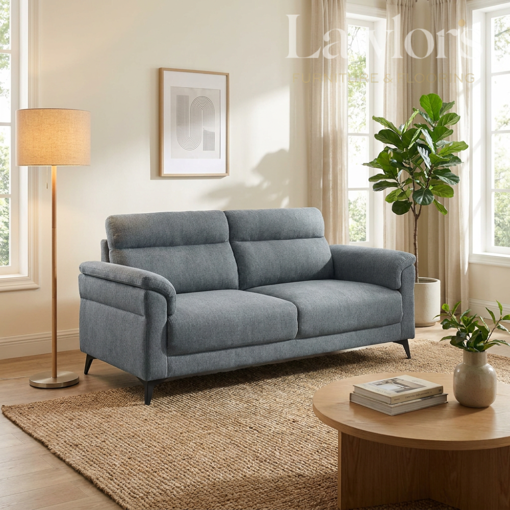 Gray 3 seater sofa in a living room with a lamp, coffee table, and plants.