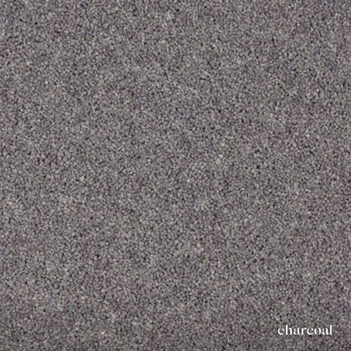 Woodland Heathers Twist Carpet in natural wool blend shades, offering a dense twist pile, durability and easy bleach-clean maintenance for busy homes.