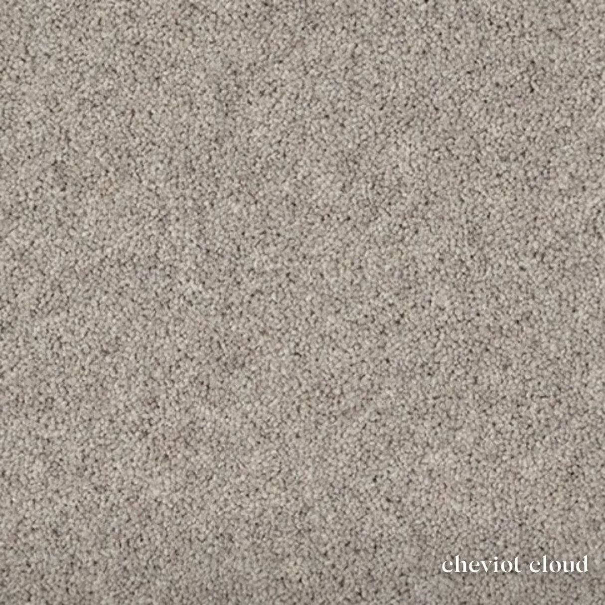 Woodland Heathers Twist Carpet in natural wool blend shades, offering a dense twist pile, durability and easy bleach-clean maintenance for busy homes.