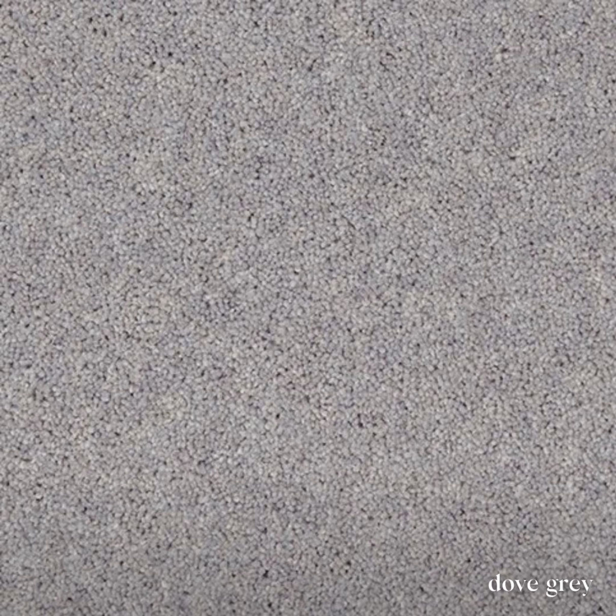 Woodland Heathers Twist Carpet in natural wool blend shades, offering a dense twist pile, durability and easy bleach-clean maintenance for busy homes.