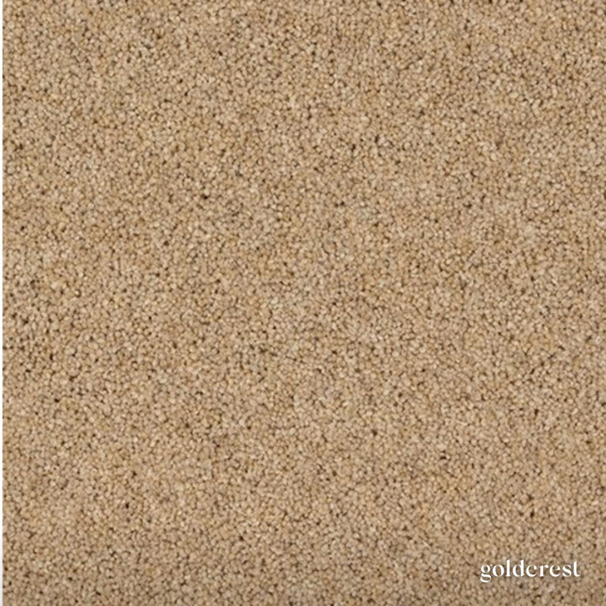 Woodland Heathers Twist Carpet in natural wool blend shades, offering a dense twist pile, durability and easy bleach-clean maintenance for busy homes.