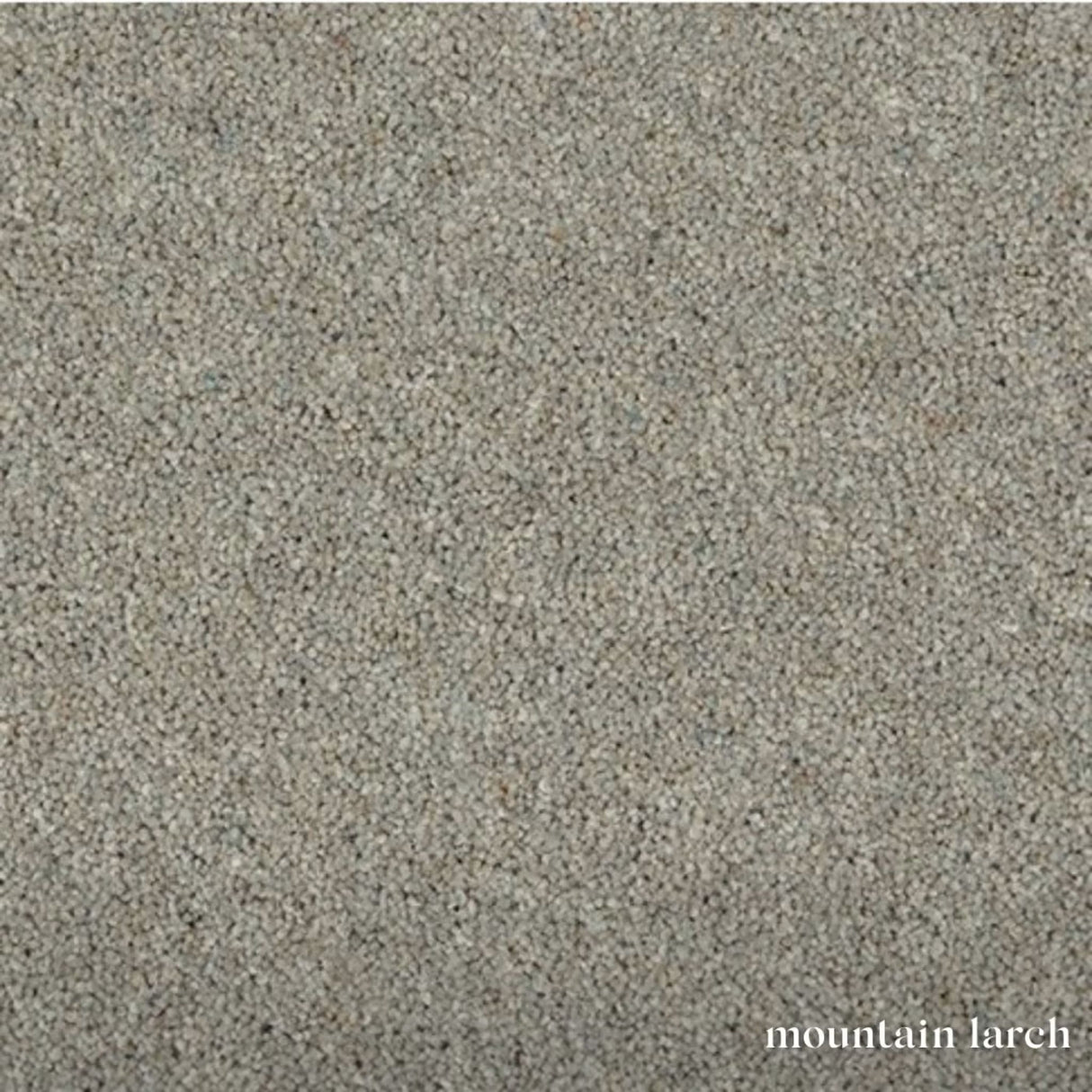 Woodland Heathers Twist Carpet in natural wool blend shades, offering a dense twist pile, durability and easy bleach-clean maintenance for busy homes.