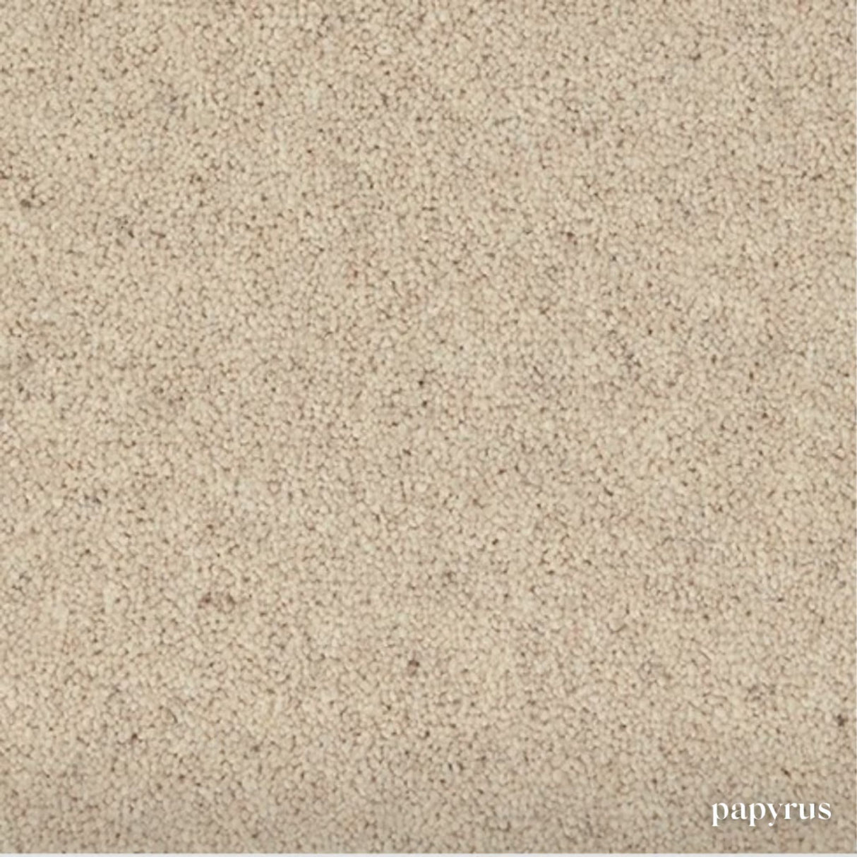 Woodland Heathers Twist Carpet in natural wool blend shades, offering a dense twist pile, durability and easy bleach-clean maintenance for busy homes.
