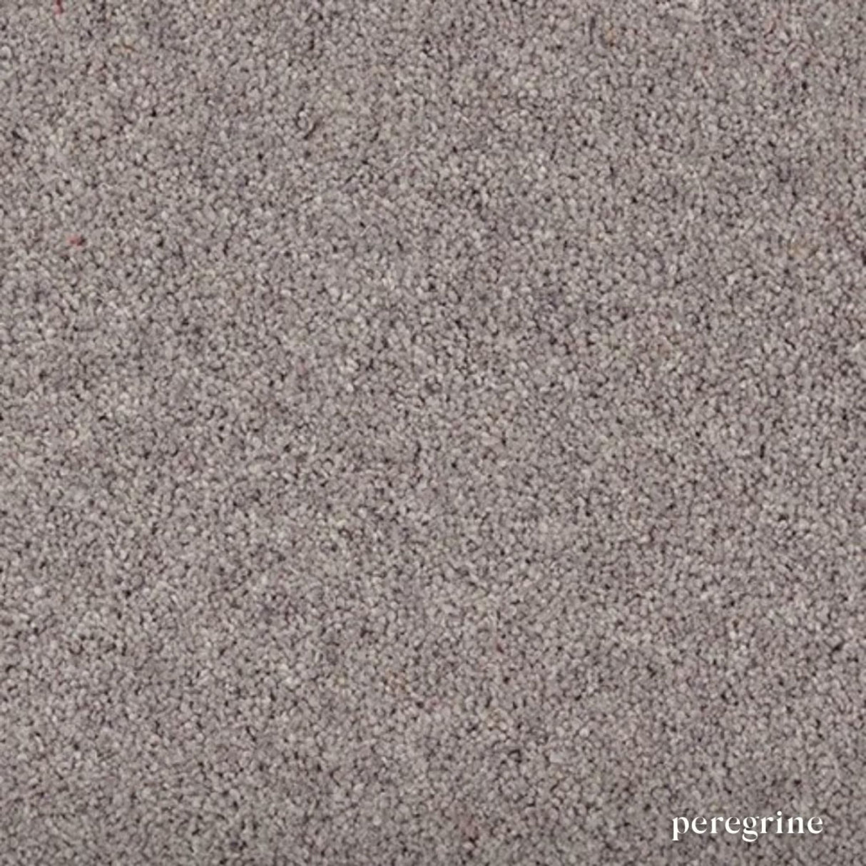 Woodland Heathers Twist Carpet in natural wool blend shades, offering a dense twist pile, durability and easy bleach-clean maintenance for busy homes.