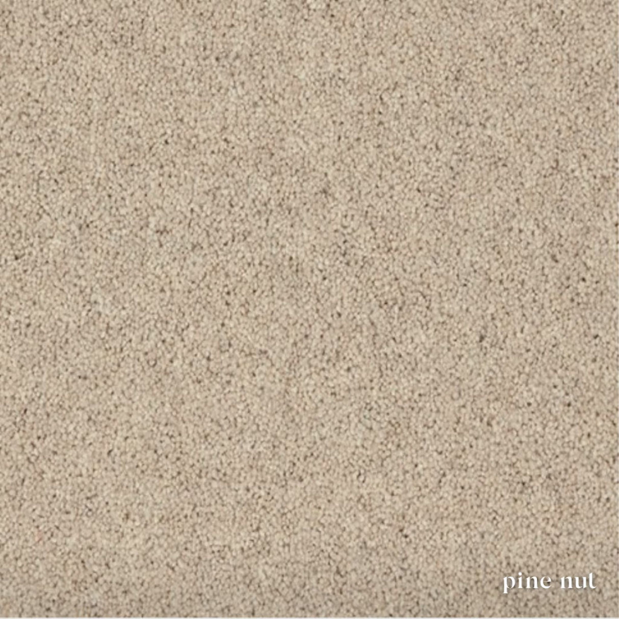 Woodland Heathers Twist Carpet in natural wool blend shades, offering a dense twist pile, durability and easy bleach-clean maintenance for busy homes.