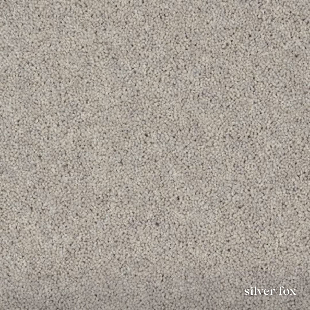 Woodland Heathers Twist Carpet in natural wool blend shades, offering a dense twist pile, durability and easy bleach-clean maintenance for busy homes.