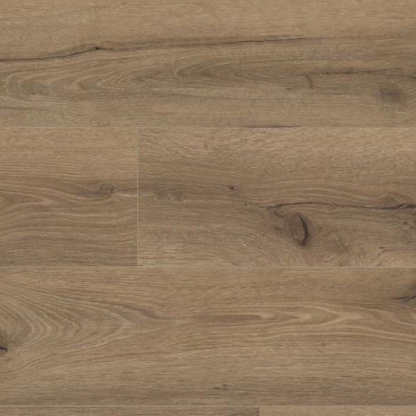 Mocha Oak (SPC)