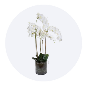 Artificial Plants Vases