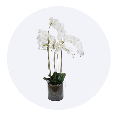 Artificial Plants Vases