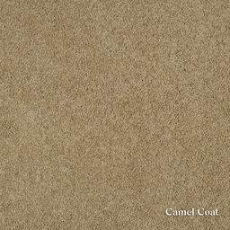 Textured beige color swatch with 'Camel Coat' label