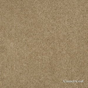 Textured beige color swatch with 'Camel Coat' label