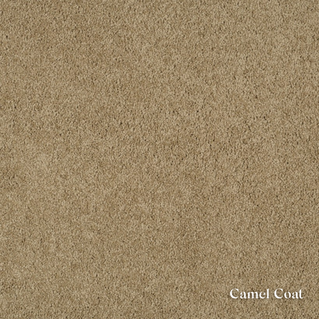 Textured beige color swatch with 'Camel Coat' label