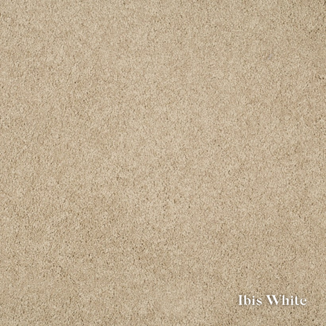 Beige carpet texture with 'Ibis White' label