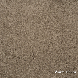 Textured brown color swatch labeled 'Warm Mocca'.