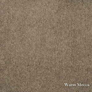 Textured brown color swatch labeled 'Warm Mocca'.