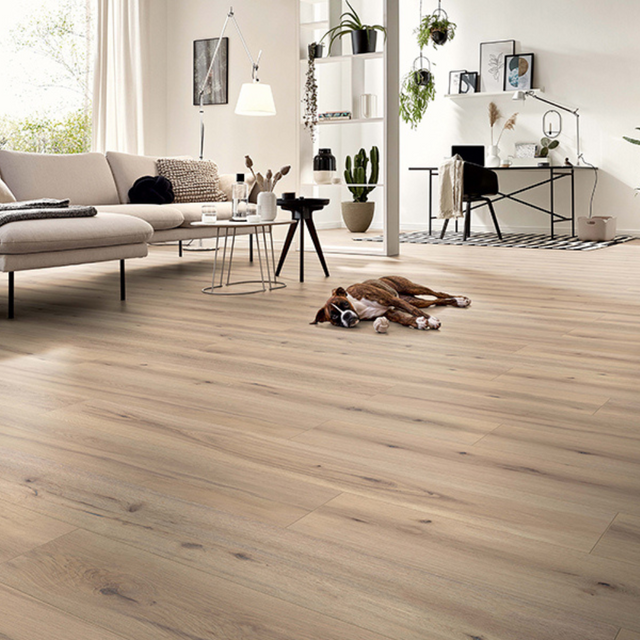 The Arizona Oak Beige Laminate Flooring - 12mm, AC5 durability, 5G Click installation and underfloor heating compatible.