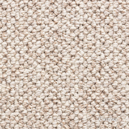 Close-up of beige carpet texture with 'Canvas' branding.