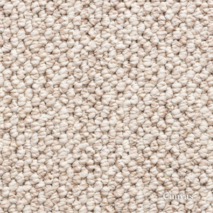 Close-up of beige carpet texture with 'Canvas' branding.