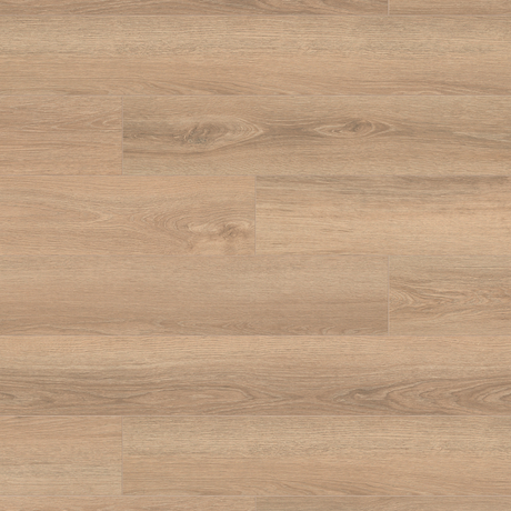 The Cashew Montreux Oak Laminate Flooring - 8mm features light natural tones, AC4 durability, antibacterial protection and easy 1Click 2Go installation
