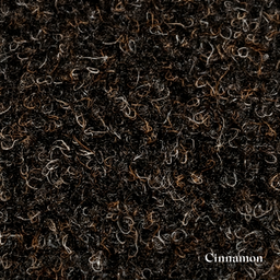 Close-up of cinnamon spice with a dark background