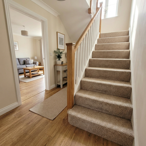 Staircase with carpeted steps leading to a living room.