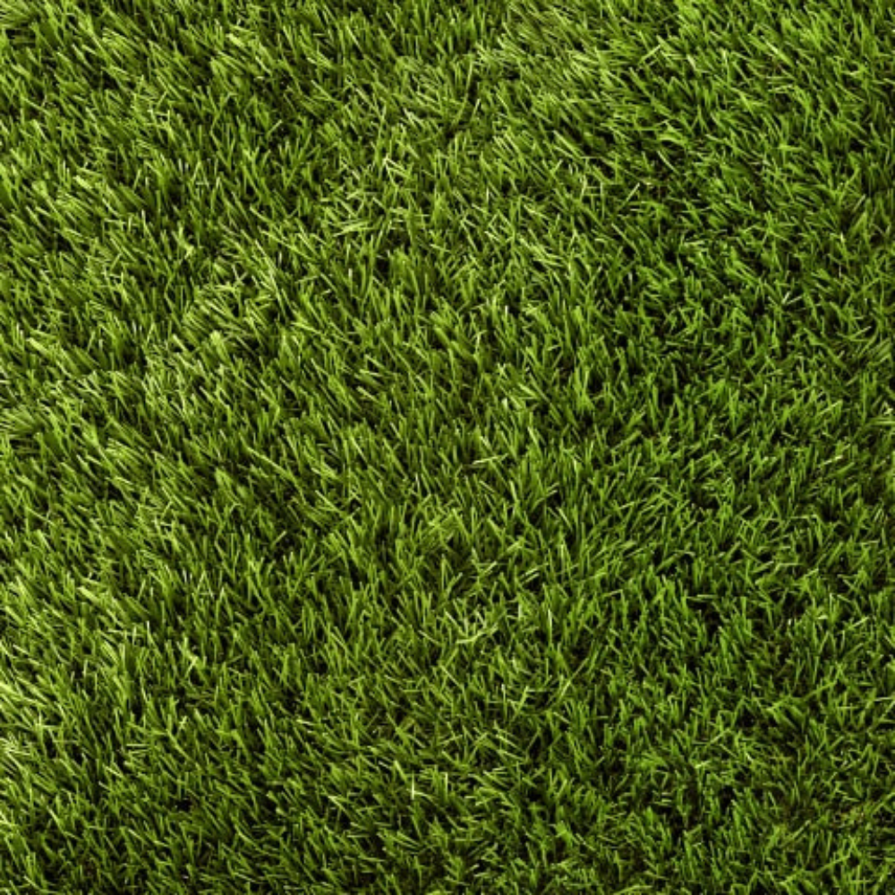 Enjoy lush, low maintenance greenery year round with Daisy Artificial Grass 30mm offering realistic, UV resistant & perfect for gardens, patios & play areas