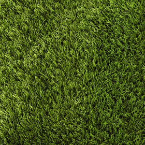 Enjoy lush, low maintenance greenery year round with Daisy Artificial Grass 30mm offering realistic, UV resistant & perfect for gardens, patios & play areas