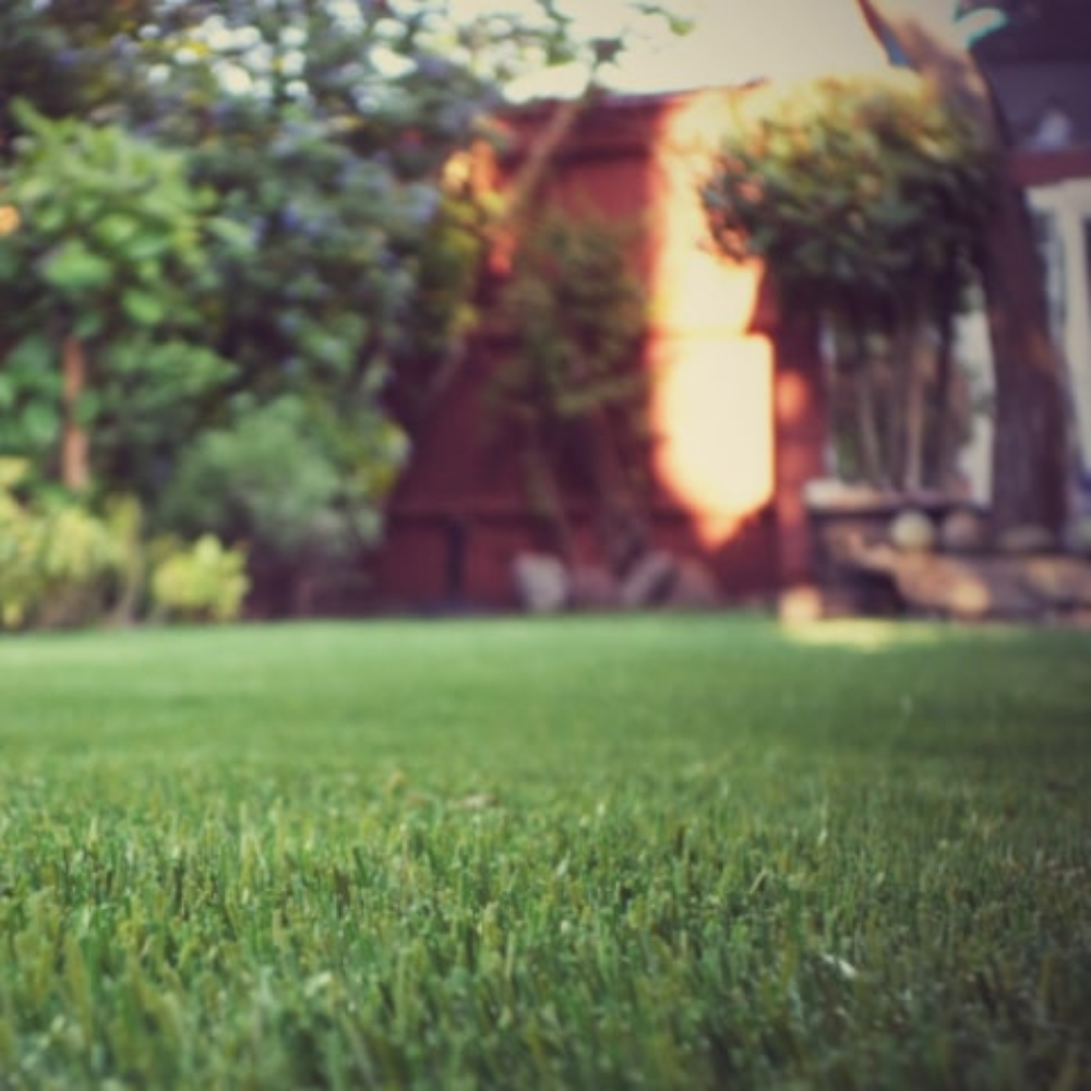 Introducing the ultra soft and durable Doonberg Artificial Grass 45mm featuring UV resistances, low maintenance and lush for outdoor comfort