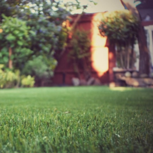 Introducing the ultra soft and durable Doonberg Artificial Grass 45mm featuring UV resistances, low maintenance and lush for outdoor comfort