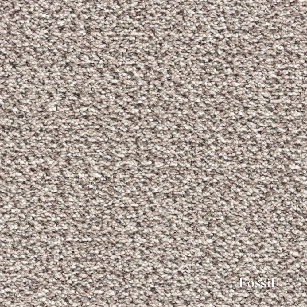 Textured fossil carpet