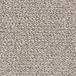 Textured fossil carpet