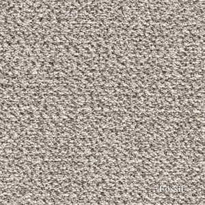 Textured fossil carpet