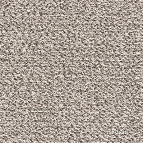 Textured fossil carpet