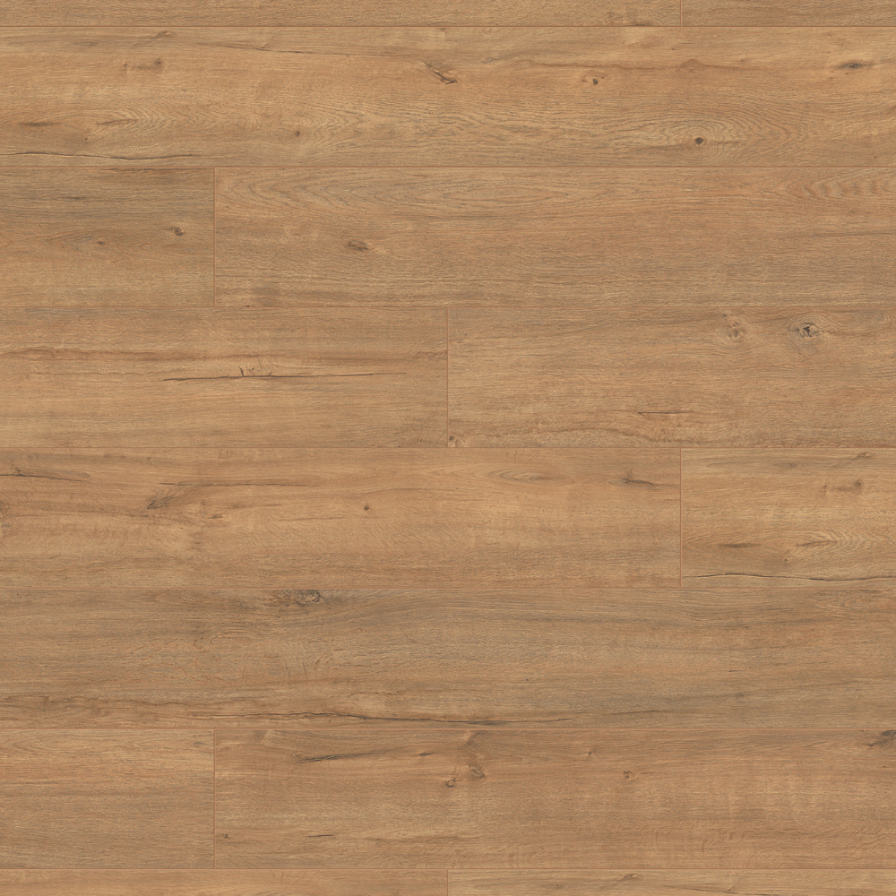 The Gold Apollo Oak Laminate Flooring - 8mm features rustic warmth, AC4 durability, antibacterial protection and easy 1Click 2 Go installation