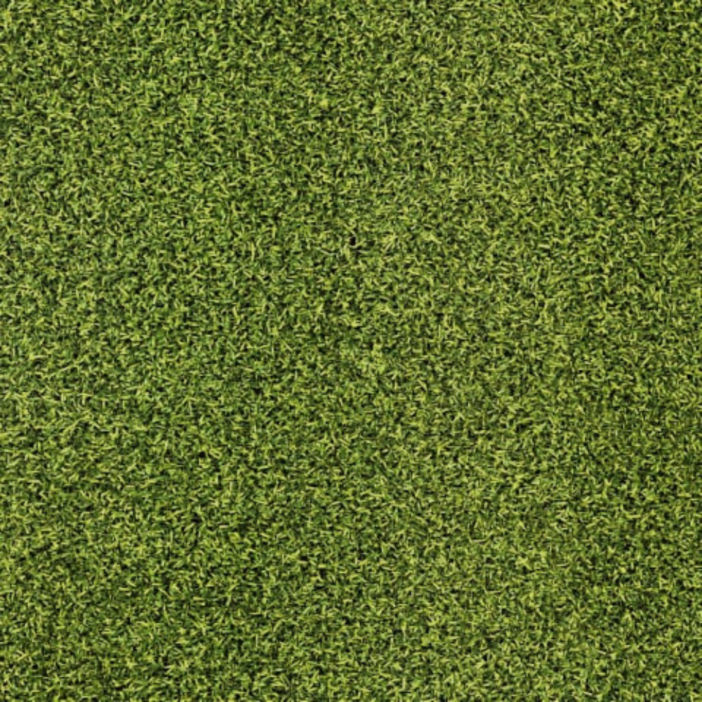 Golf Artificial Grass 16mm 4m is perfect for putting greens, UV resistant, durable and low pile for consistent performance in any outdoor space