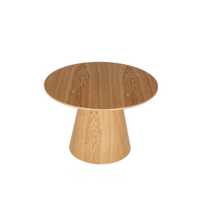 The Hailey Coffee Table in Brown adds warmth and sophistication with its sleek and durable design