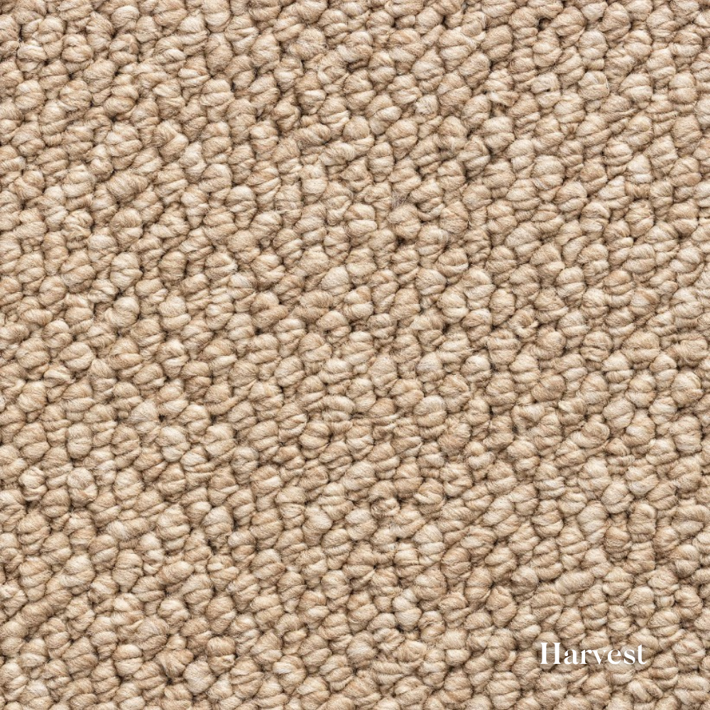 Close-up of beige carpet texture with 'Harvest' label