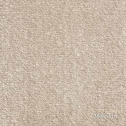 Close-up of beige fabric texture with 'Moleskin' branding.