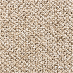Close-up of oatmeal-colored carpet texture