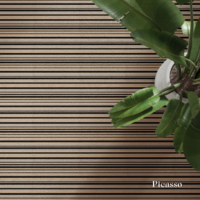 Wooden deck with horizontal slats and a plant in the corner, featuring the brand 'Picasso'.