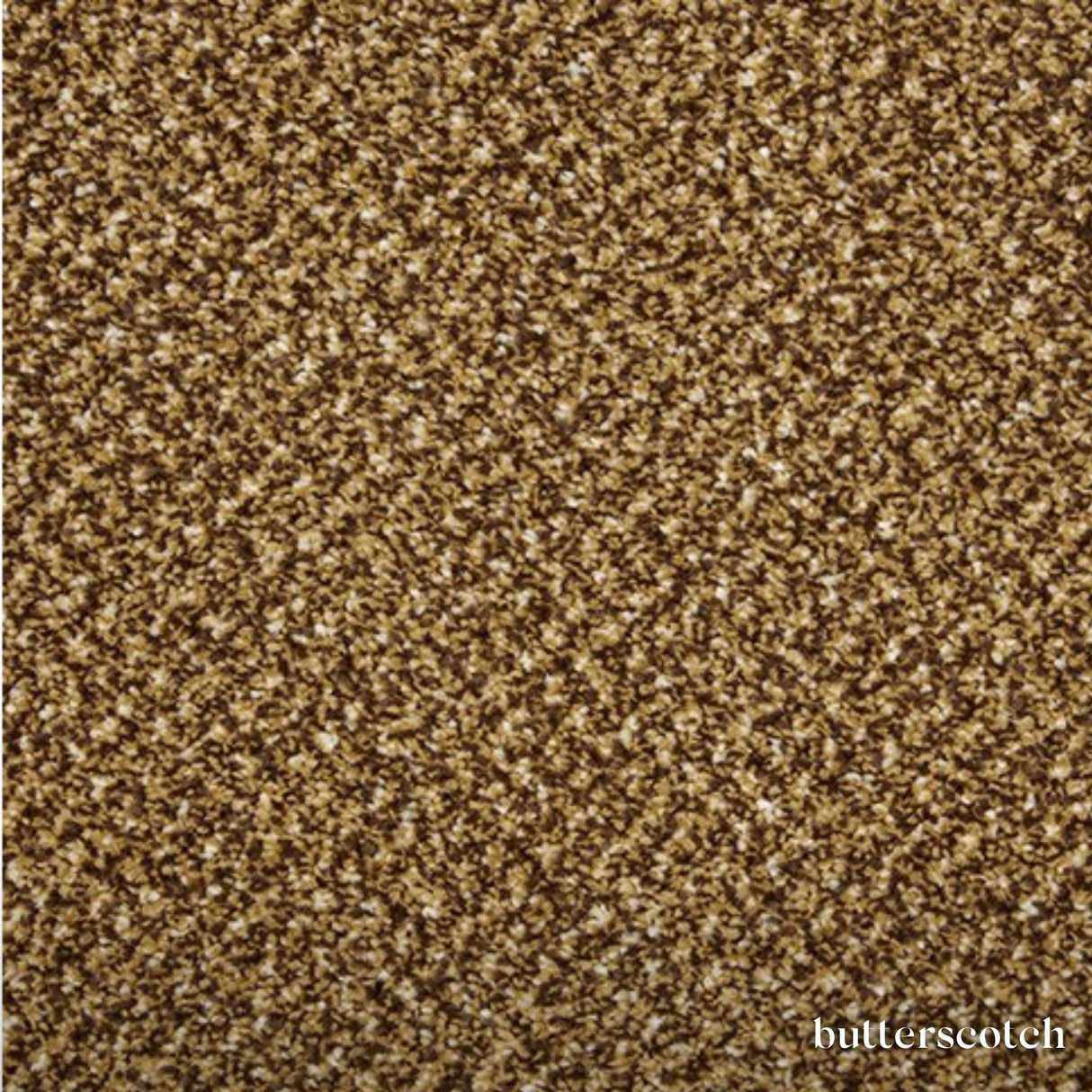 Primo Tweed Carpet made from durable Excellon polypropylene, bleach cleanable and designed for extra heavy domestic use with long-lasting comfort.