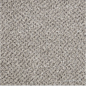 Primo Tweed Carpet made from durable Excellon polypropylene, bleach cleanable and designed for extra heavy domestic use with long-lasting comfort.