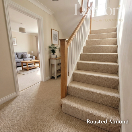 Staircase with carpeted steps in a home setting