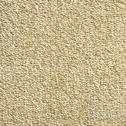 Close-up of beige carpet texture with 'Spiced Ocre' label