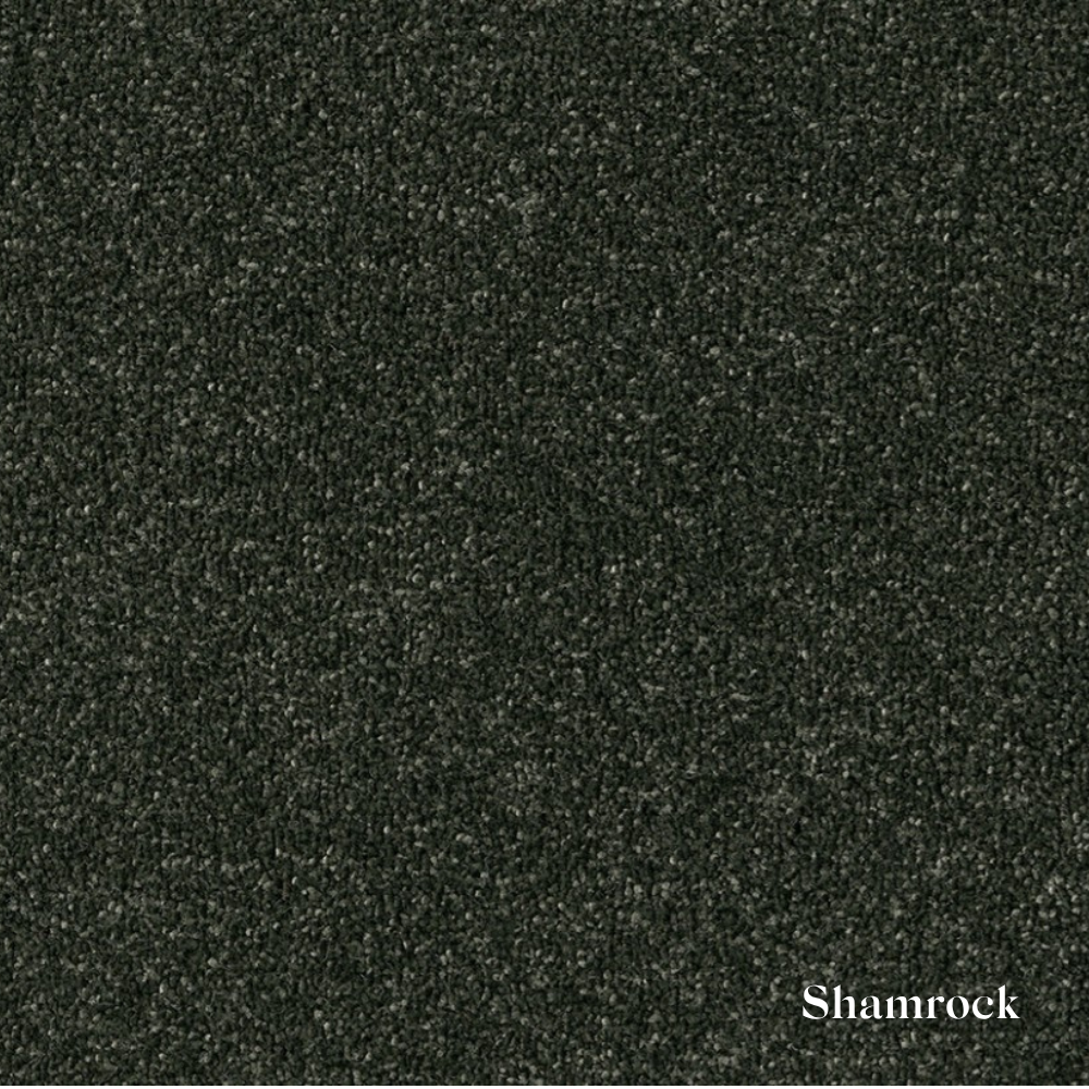 Textured black surface with 'Shamrock' label