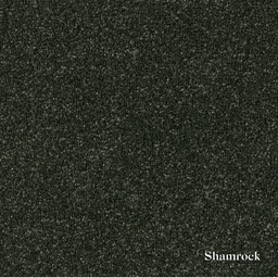 Textured black surface with 'Shamrock' label